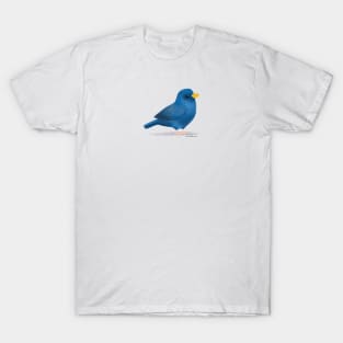 Blue Finch Bird T-Shirt